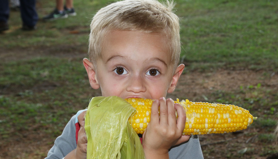 Jaxon Douglas loved his corn on the cob at the Scandinavia Corn Roast.
Holly Neumann Photo